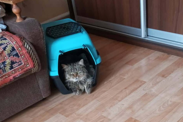 ����������� �������� ������� ����� ����� ����� ���� � ���������� �������