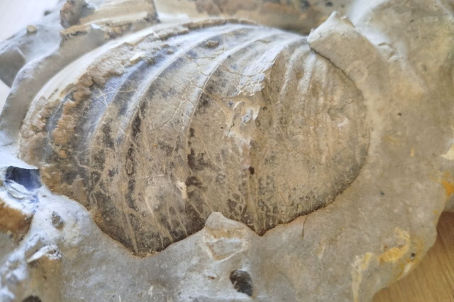 � ������������ ����� ������ ������� �������� ������� ������������� � ���������� �������