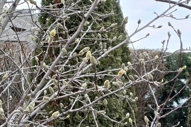 � ������ ��������� � �������� ��������