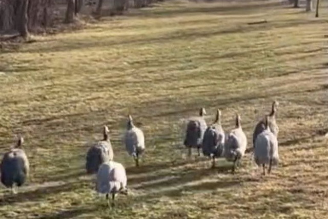 � ����� ����� ���������� ������ ����������� �� ����������