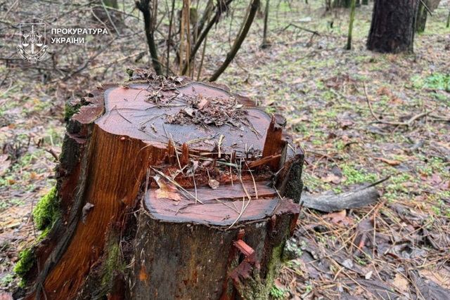 ���������� ������� � ��������� ��������� �� 22 ��� ���: ����� ������ ������ ����������� ������������ �������