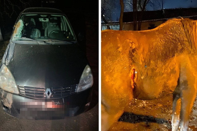 ������   ������� � ����� � ������ ���� � ����������� � �������