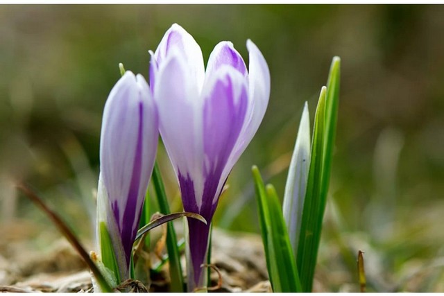 �� 17 �������� ����� � ��� �������. ����� ����� ������ �� ���������������� �� ���� ������