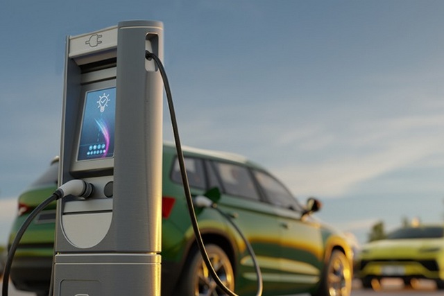 � ������ ���� ���� ����� �� �����������