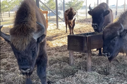 ��� ������� ������� ����� �������, ��� ��������� ����� ������ ��������