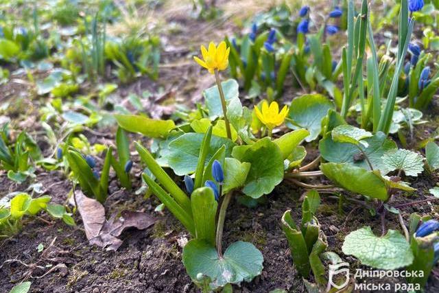 ����� ������ � �� +20 ��������: ����� ����� ������ �� ����� ������ � ������