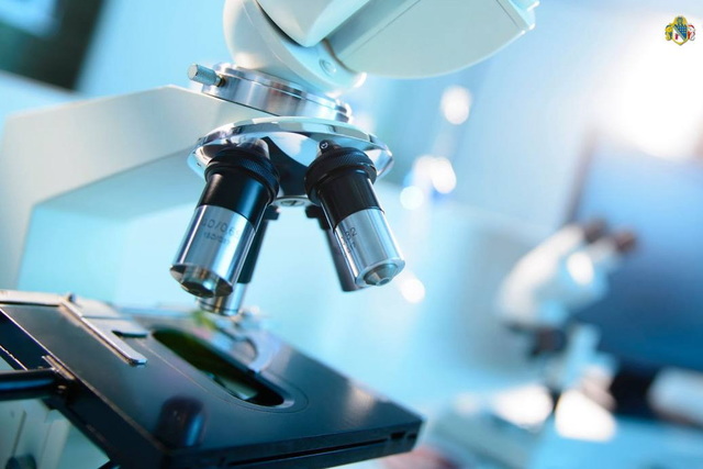 Епідемічна ситуація в області: чоловік отруївся грибами