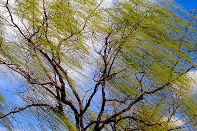 ��������� �����������: ������� ������ �� ������ �� ����������������