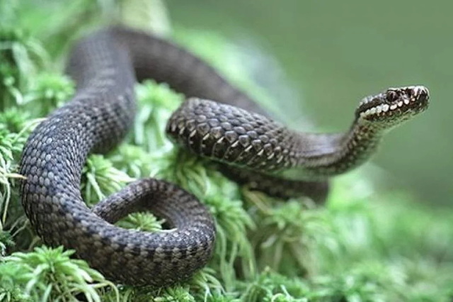 ���������������� ����� ����� �� ������� ���