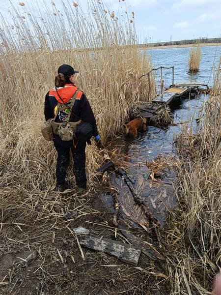 �� ���������������� ���������-������� � �������� ������� ������� � ������ ������ 20-���� ������