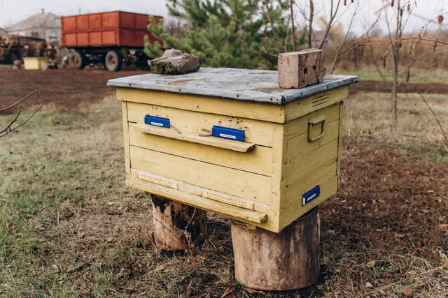 �� ������� ���������������� ��������� �� ��� ����