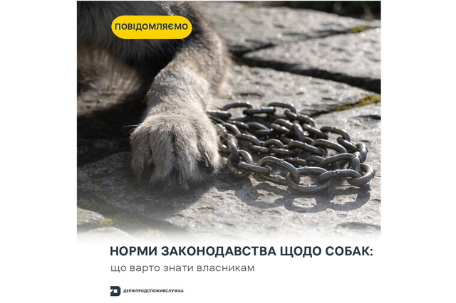 � ���������� ��������� ���������� ���������� ��� ����� �������� ��������� ����� �� ����'��