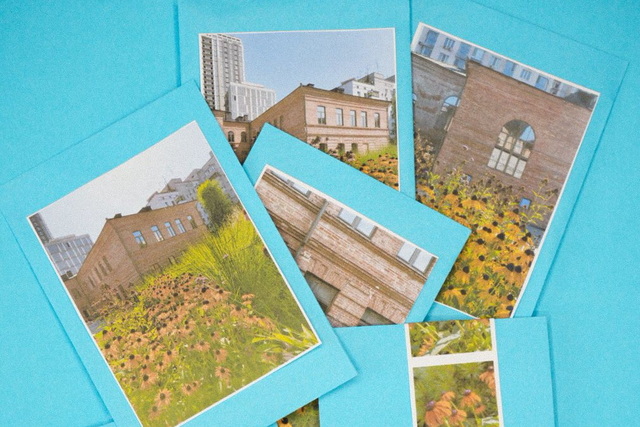 ����� ������� �������� ������ �������� ������ ������