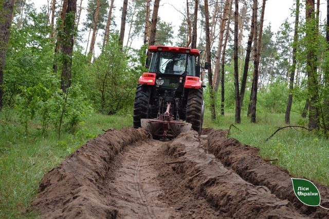 ���� ���������������� ����� �������� �� ������� ����� �������