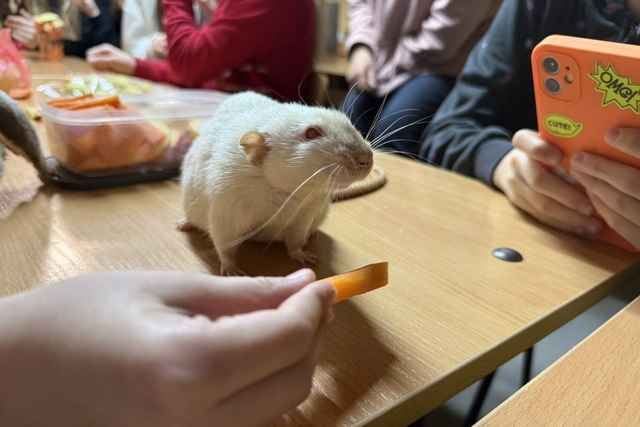 Як таргани та миші допомагають дніпровським дітям пережити стрес війни