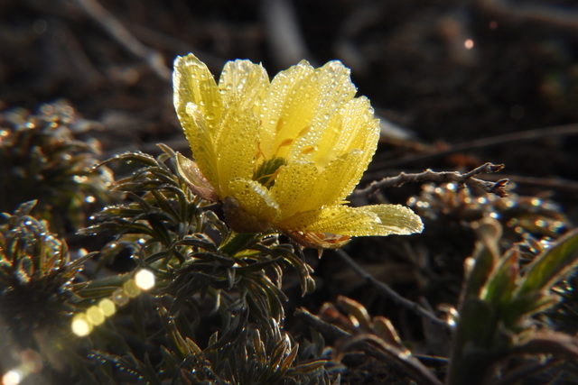 �� ���������������� ������� ������, �� ������� ��������