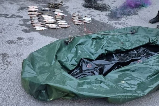 ���������� ������� ����������� � ��������