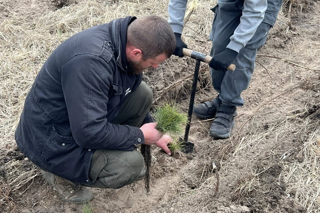 ��� ���������� ����������� �� � ������������� ������