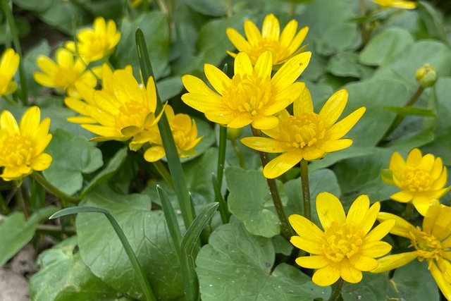 ������� ����, ������, �� 20� �����. ��� ������ ����������� �� ���������������� �� ������� �����