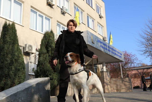 �� ������� ������ ��������, ��� ����������� ���� ���������� ����������� �����