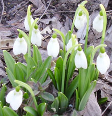 �� �������� ������������ ������� ������ ���������������?