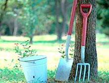 ��������� ��������� �������� 460 �������� 