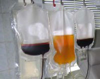 ��������� ���� ���������