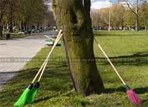 ���������� ����������� ������ ����������� 