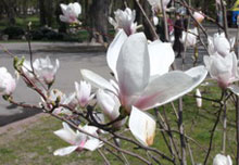 � ����� �������� ��������! 