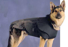 � ���������� 