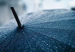 � ��� ����� ���� ����� � �����