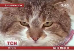 � ��������������� ����������� ������������� �������� �� ������