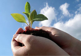 ���� ���������� ����� � ���������������� 