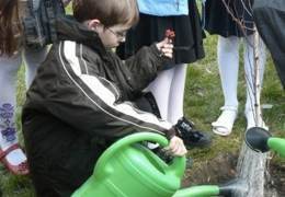 � ���������������� ������� ������ ���������� ���� �������������� 