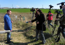 ������ ���� - ���������� ���