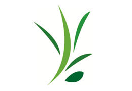 ������ ���������� ������� ����������� ��� �������