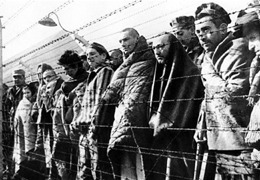 ���������������� ������� ������ ������� ���������� �����������