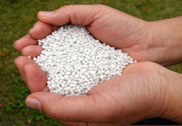 �� ����������� ������ ����������� ��������� ����� �����������