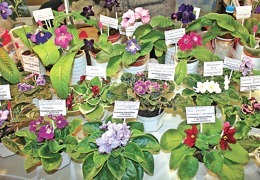 �������� ������