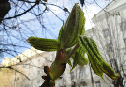 ������ ���������������� �������� 80 000 �� �������