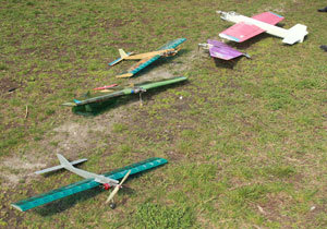 ������� ��������� ���������������� �������� ������� �� ����������� &laquo;������� � ������&raquo;