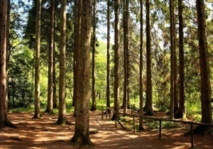 � �������������� ������� ��������� �������� �������