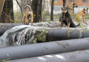 �������� ���� ���������������� ����� �������������