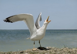 �������������� ��-�� �������������� ������ ���������� �����-���������