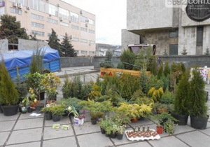 � ���������������� �� ���� ������ �������� ������� ��������-�������