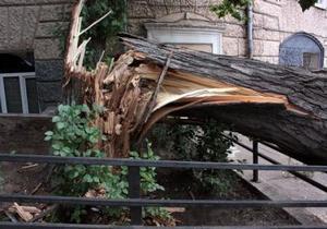 ��� � ��������������� ������ ������� ���������� � ��������� �������