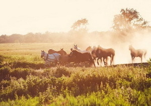 � ��� ������� ������� ������������� ���������