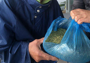 � ��������������� �� ������ ��������� ������ ���������