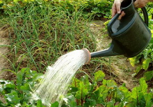 � 1 ��� � ���������������� �������� �������� �����