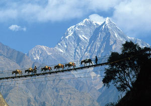 ��������������� �� ������ ������� �����